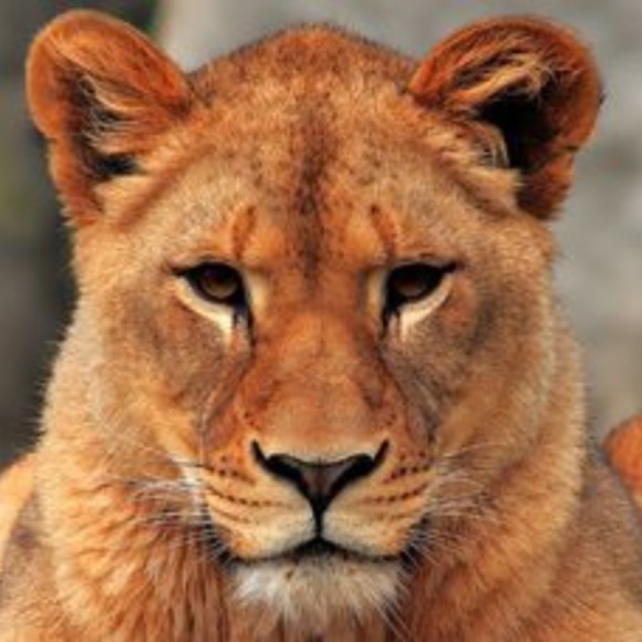 Meet your Posher, Mnv - Picture 1 of 1